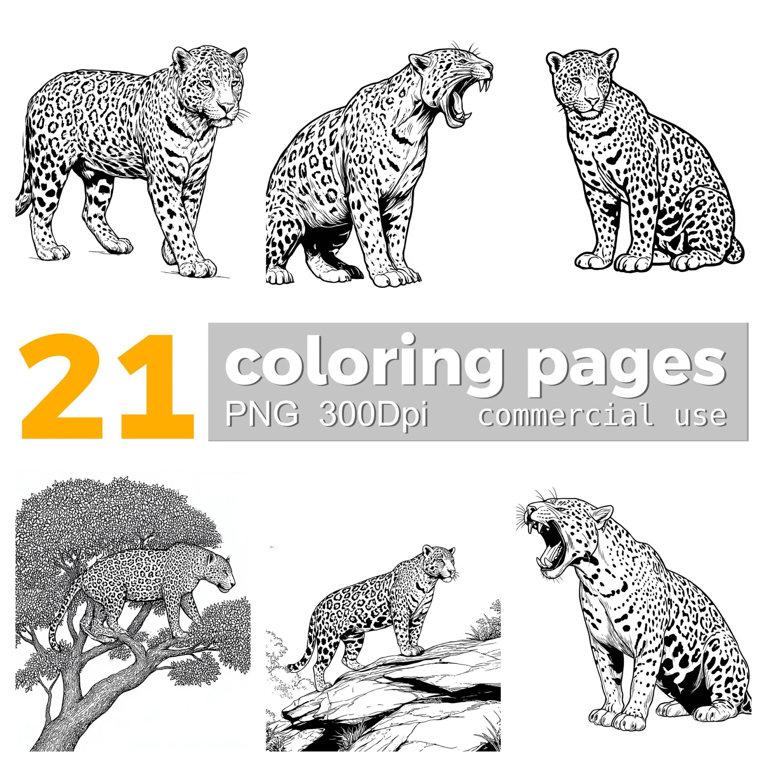 rainforest animals coloring pages