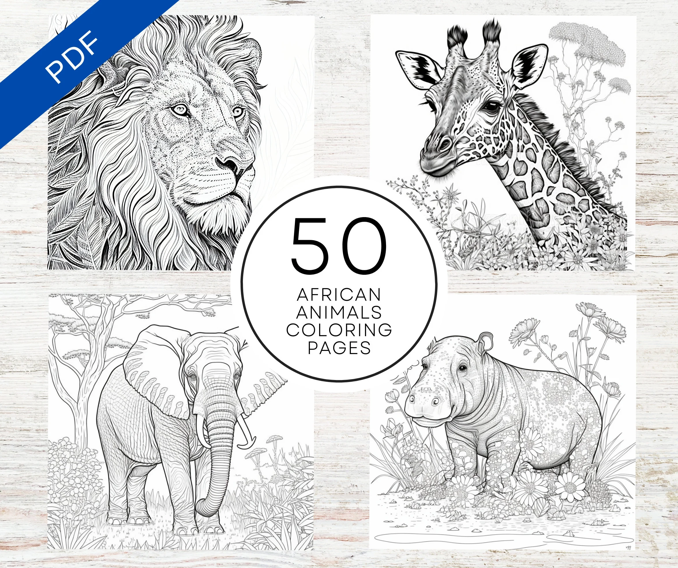 KDP Interior 50 African Animals Coloring Pages 8 5 X 11 Printable PDF Canva Template Realistic Africa Willdlife Coloring Book Etsy