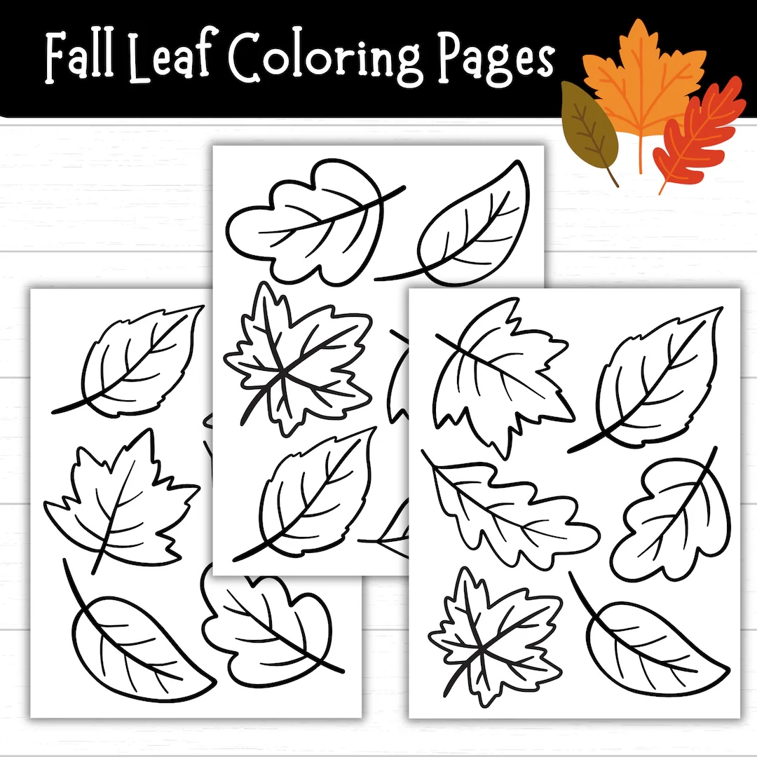 Leaf Coloring Pages For Kids Printable Pack Fall Autumn Leaves Coloring Sheets Nature Activity Preschool Kindergarten PDF Download Etsy