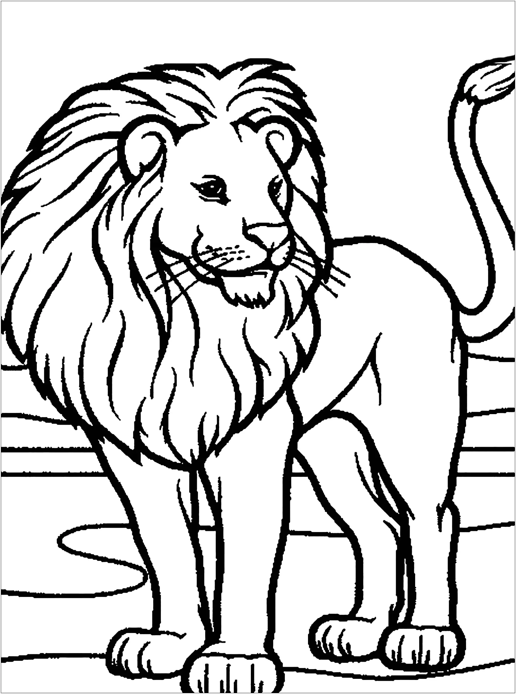 coloring picture of a lion
