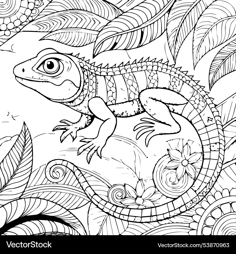 Lizard Coloring Page Design Royalty Free Vector VectorStock
