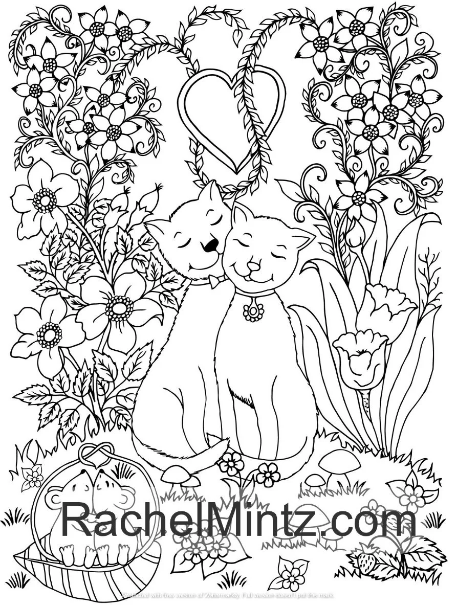Love Birds Romantic Animals Valentines Day Coloring Book For Adults Rachel Mintz Coloring Books