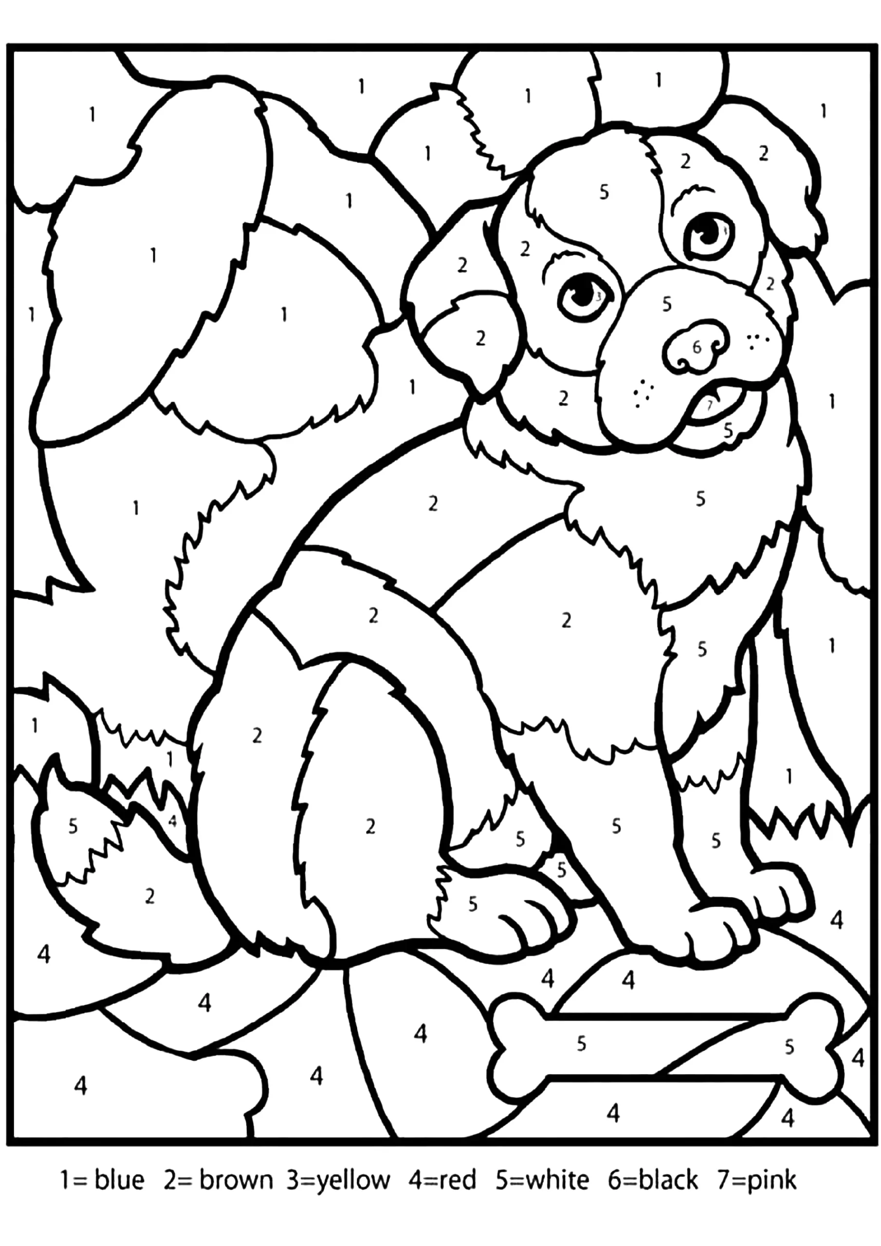 Magic Coloring Of A Beautiful Dog Coloring By Numbers Coloring Pages For Kids