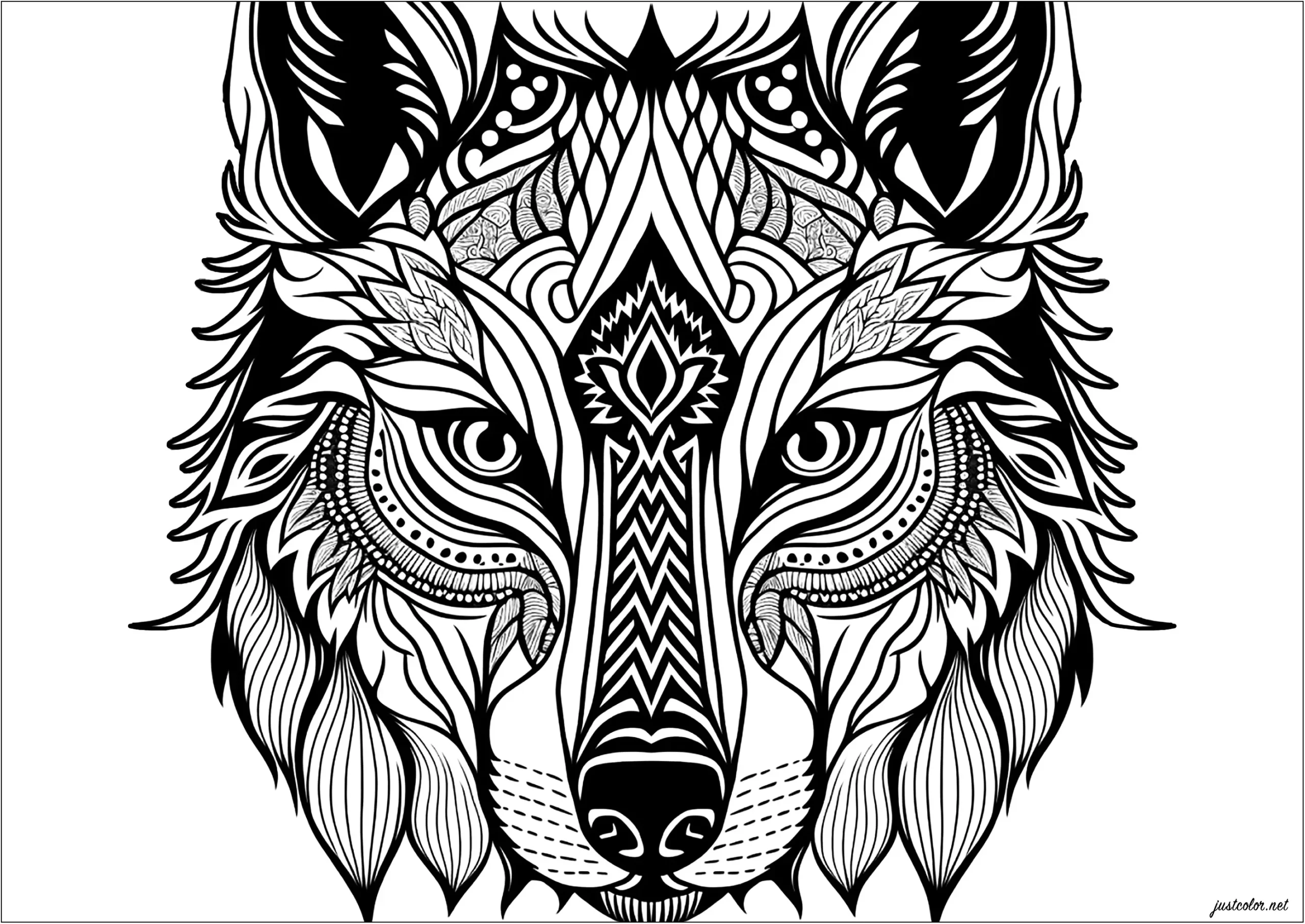coloring pages of a wolf