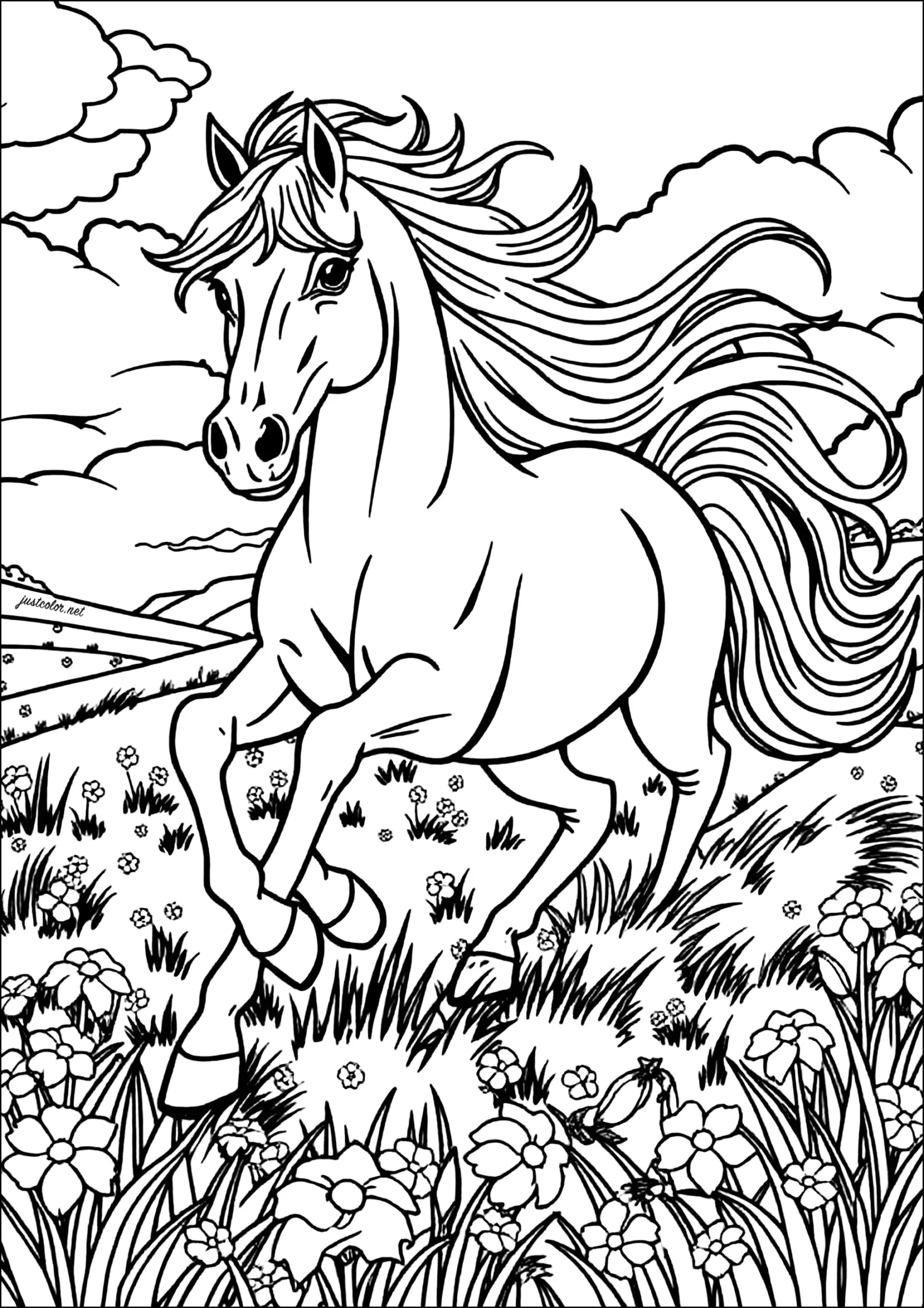 Majestic Horse Among Flowers Horse Coloring Pages