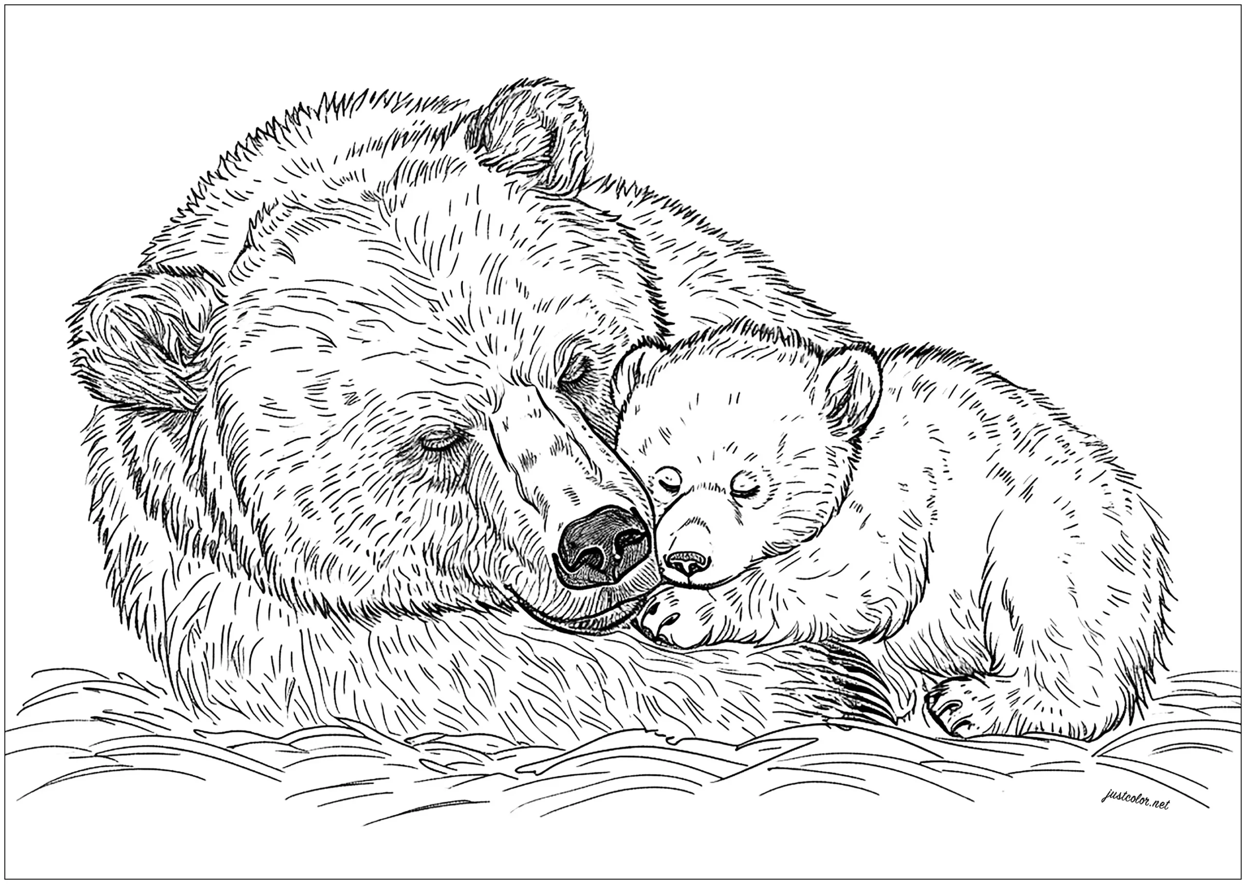 brown bear coloring pages brown bear coloring pages
