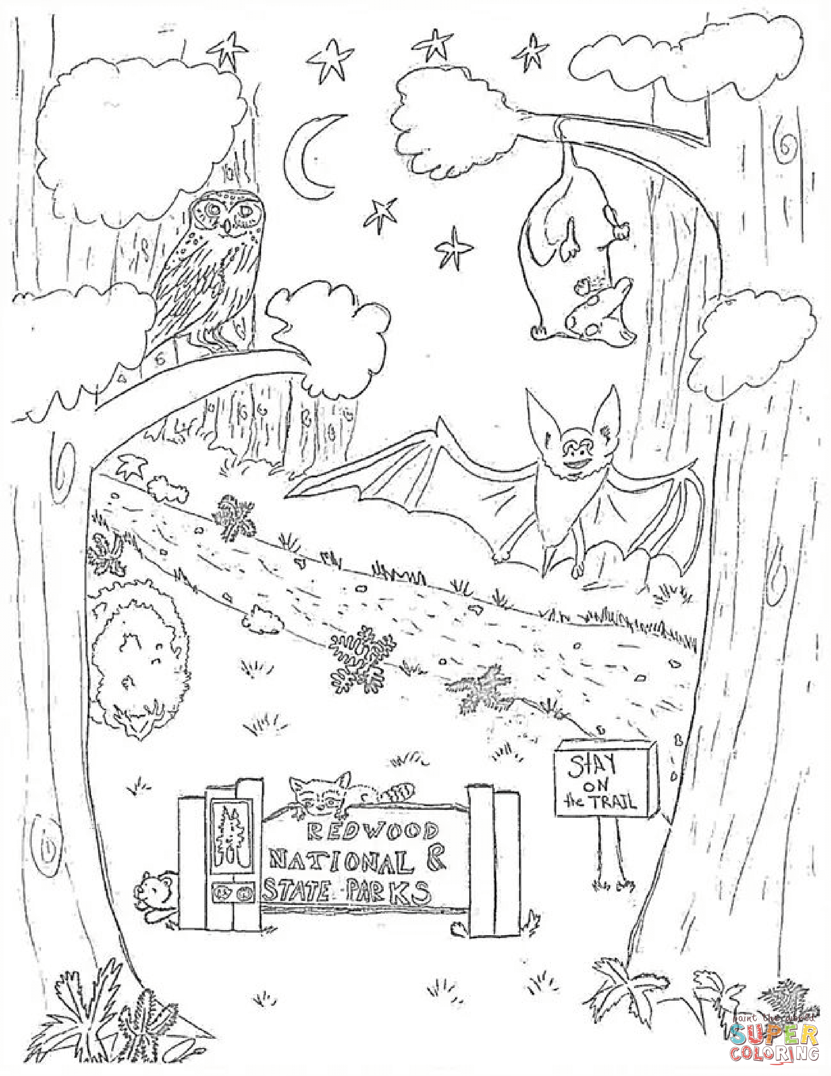 Nocturnal Animals Coloring Page Free Printable