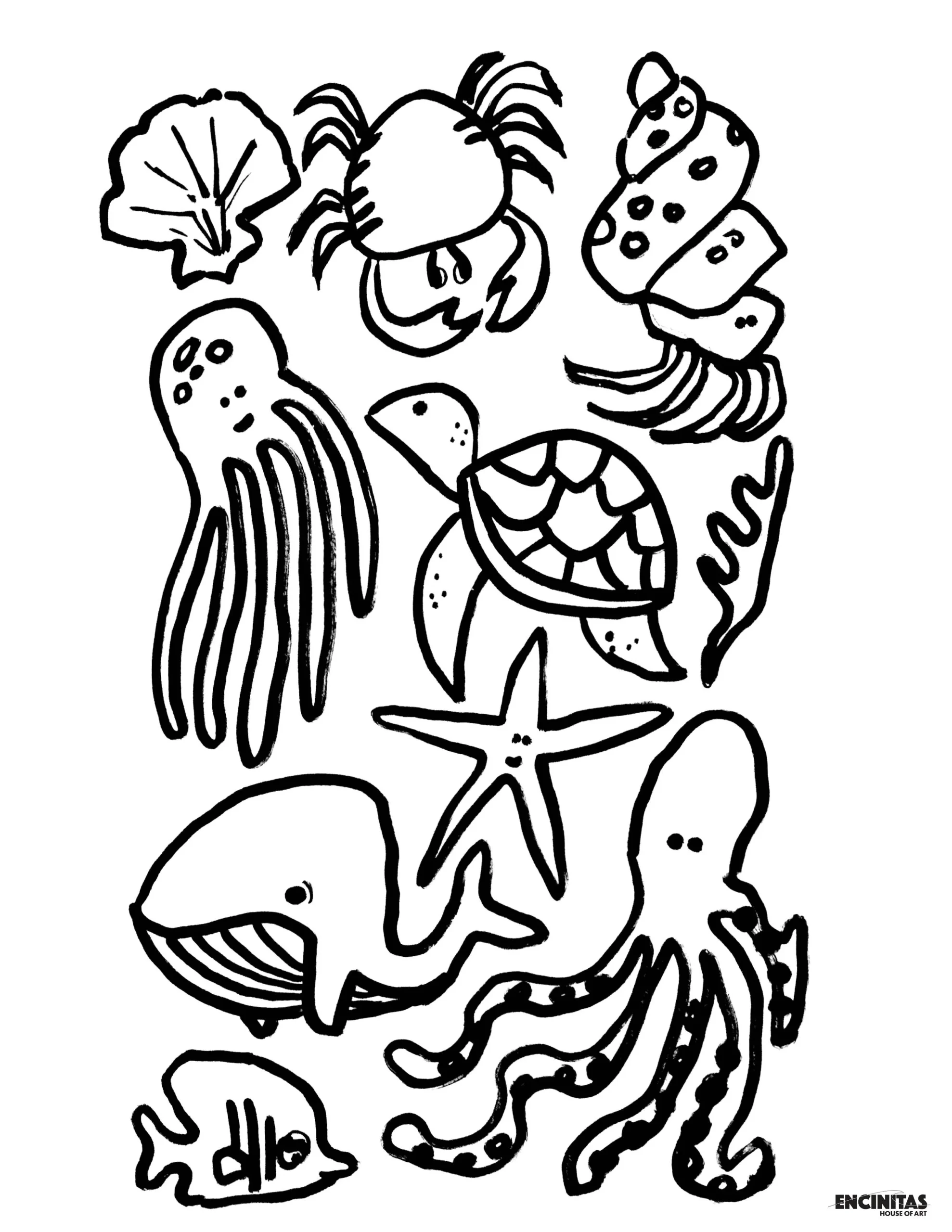 Ocean Animals Coloring Page Encinitas House Of Art