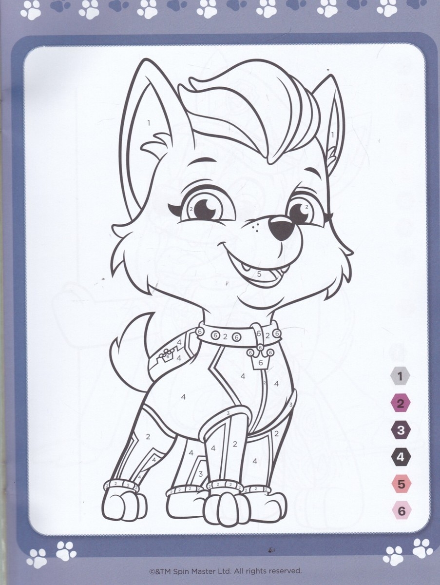 PAW PATROL COLOUR By NUMBERS ACTIVITY BOOK NEW A4 CHILDREN S BOOK AGE 4 EBay