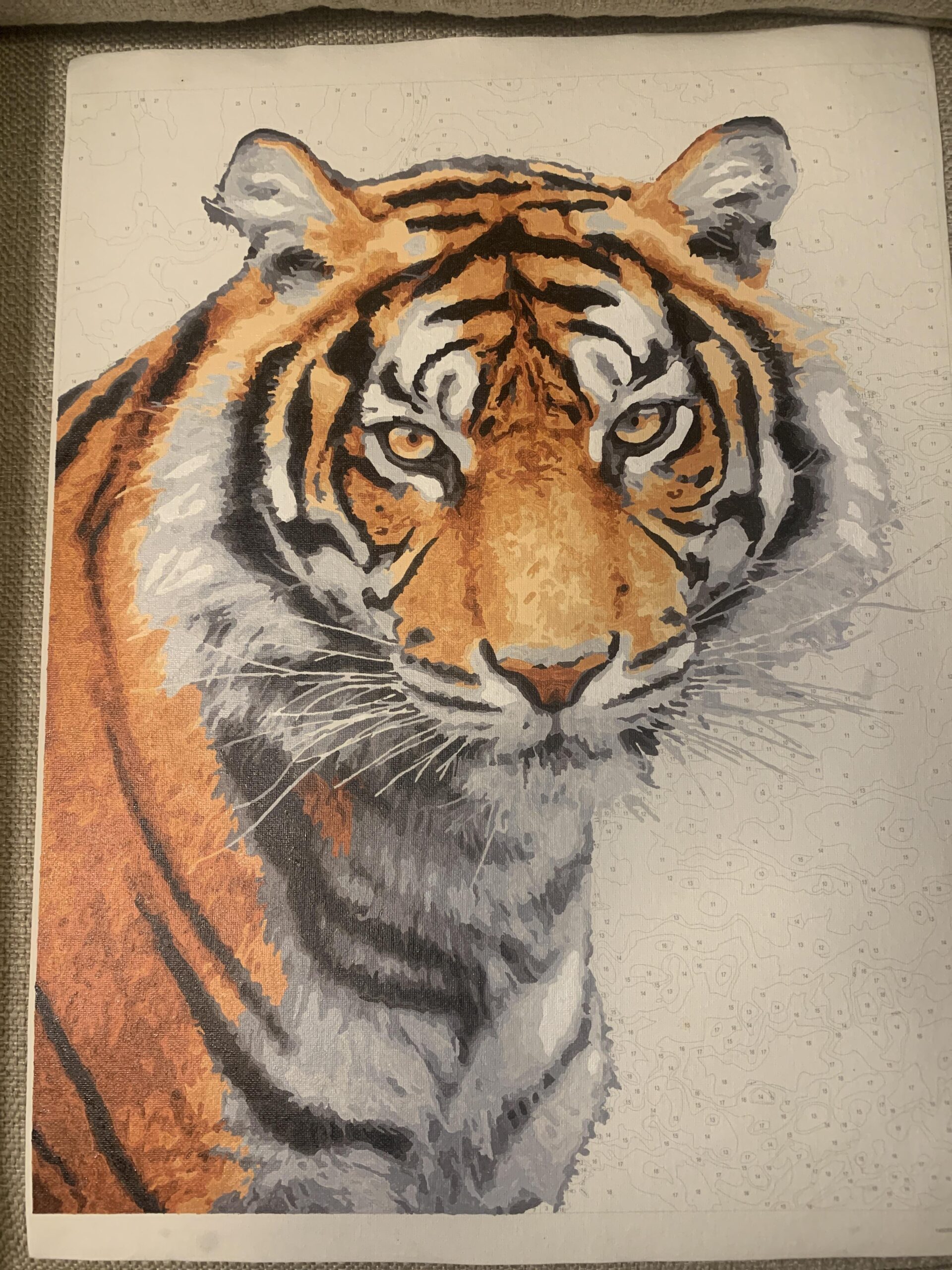 PBN I Got At Michaels For 15 I m Saving The Background For Later Finishing The Tiger Took A Long Time R paintbynumbers