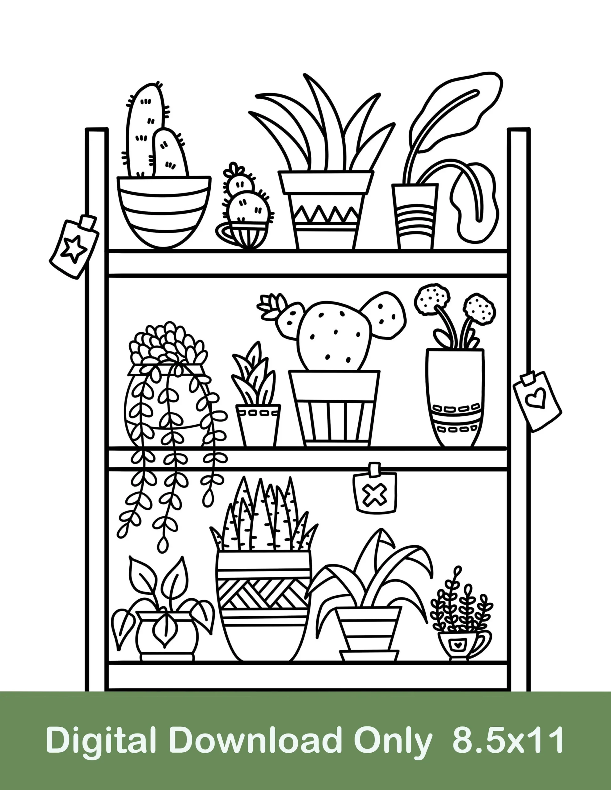 Plant Shelf Coloring Page Cactus Potted Plants digital Download Etsy
