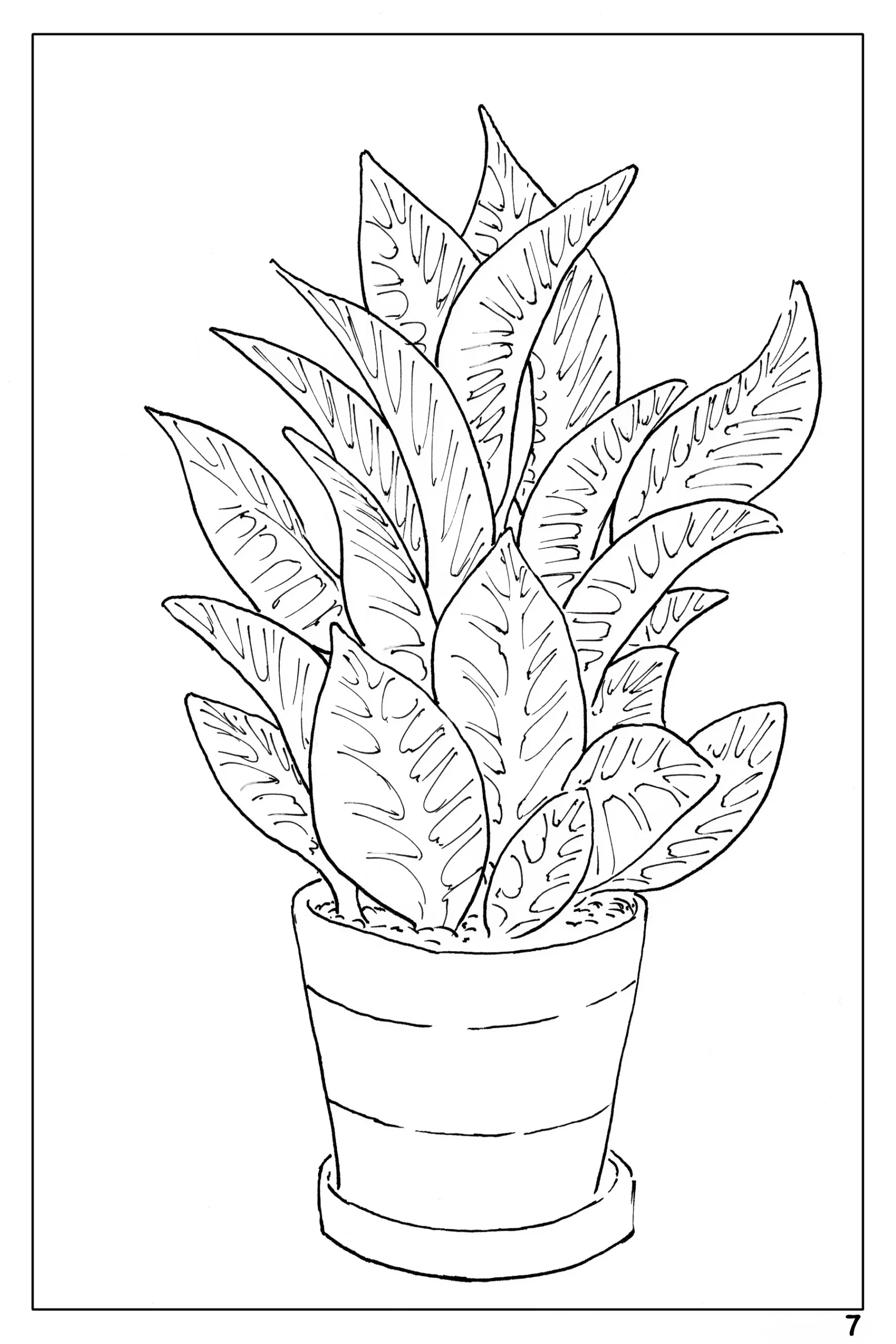 coloring pages for watercolor