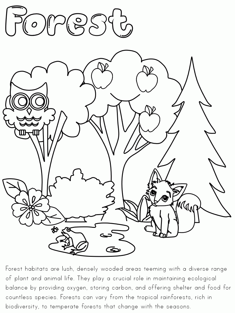 Printable Habitats Coloring Pages Printable Habitats Coloring Pages