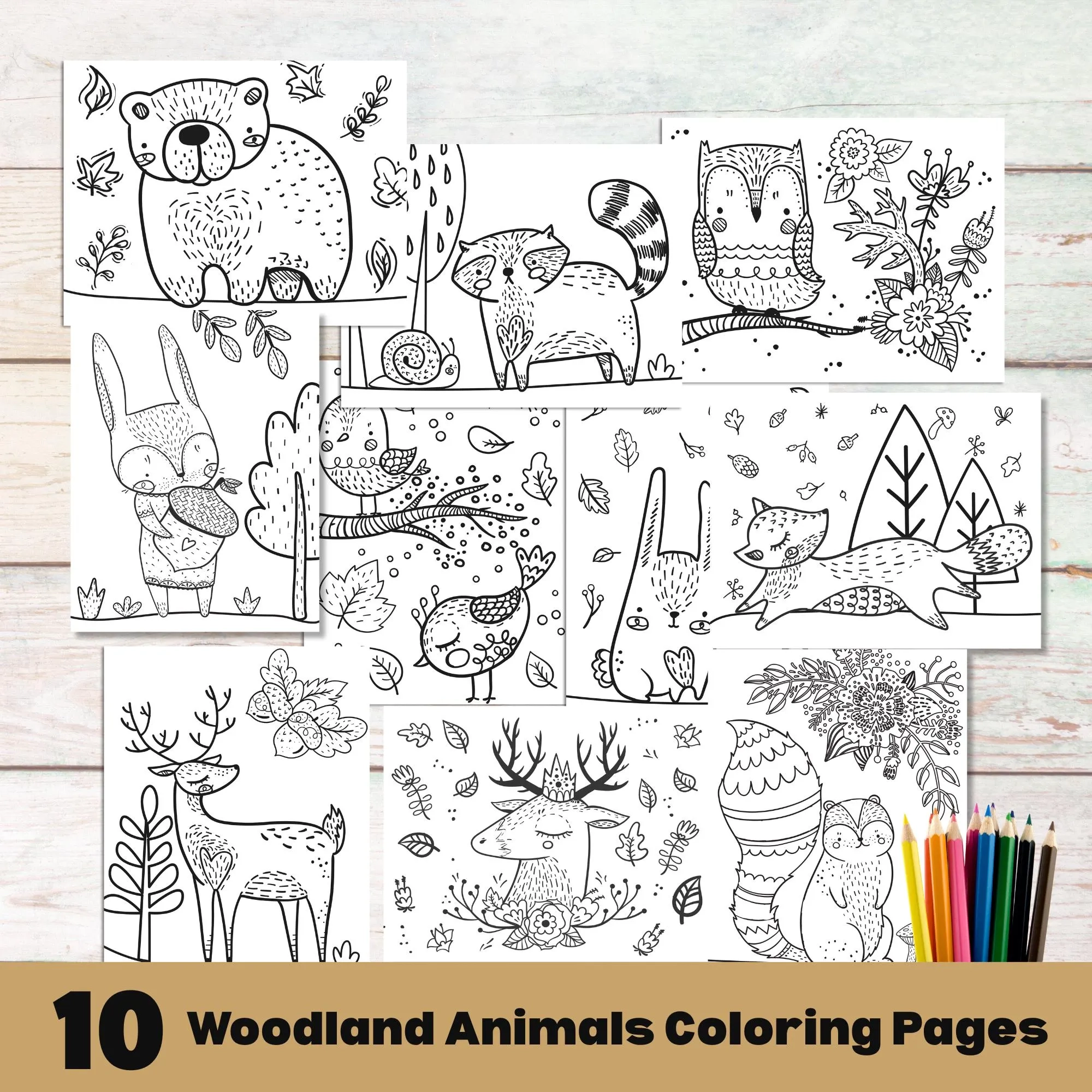 woodland animals coloring pages woodland animals coloring pages