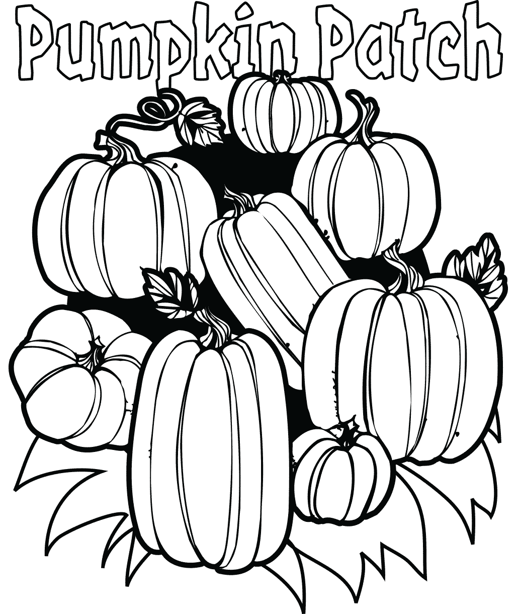 Pumpkin Patch