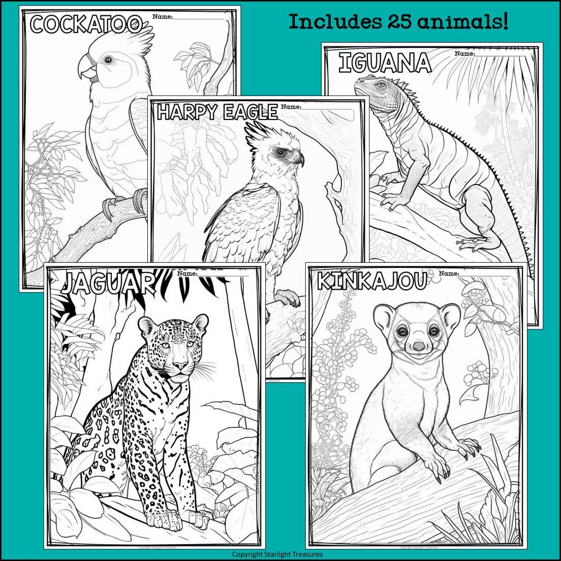 animals of the rainforest coloring pages