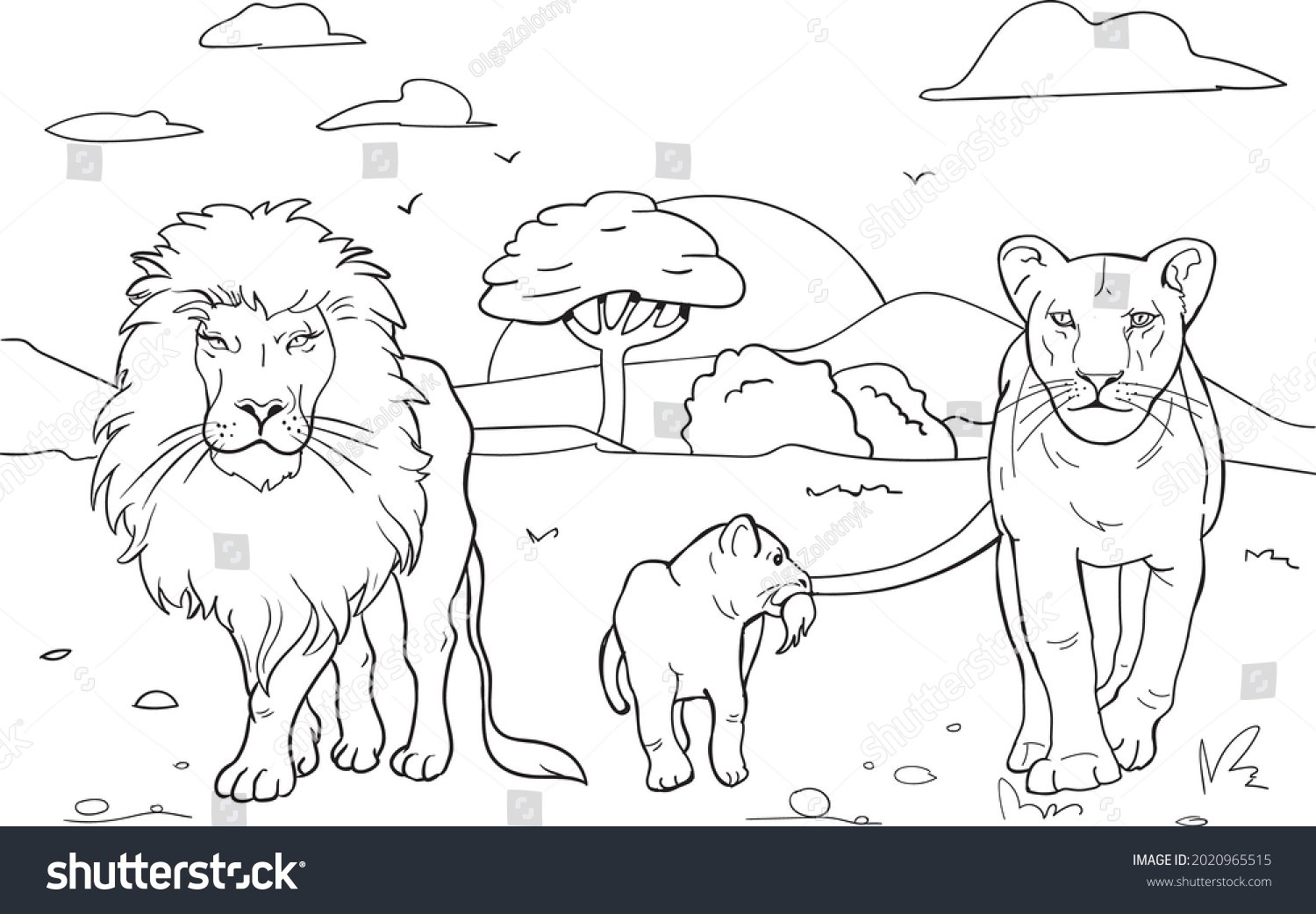 pictures to color of lions