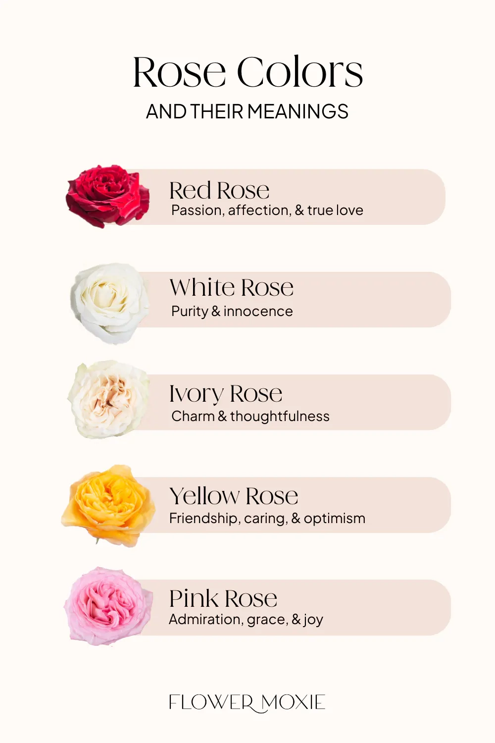 Rose Color Meanings DIY Wedding Flowers Flower Moxie