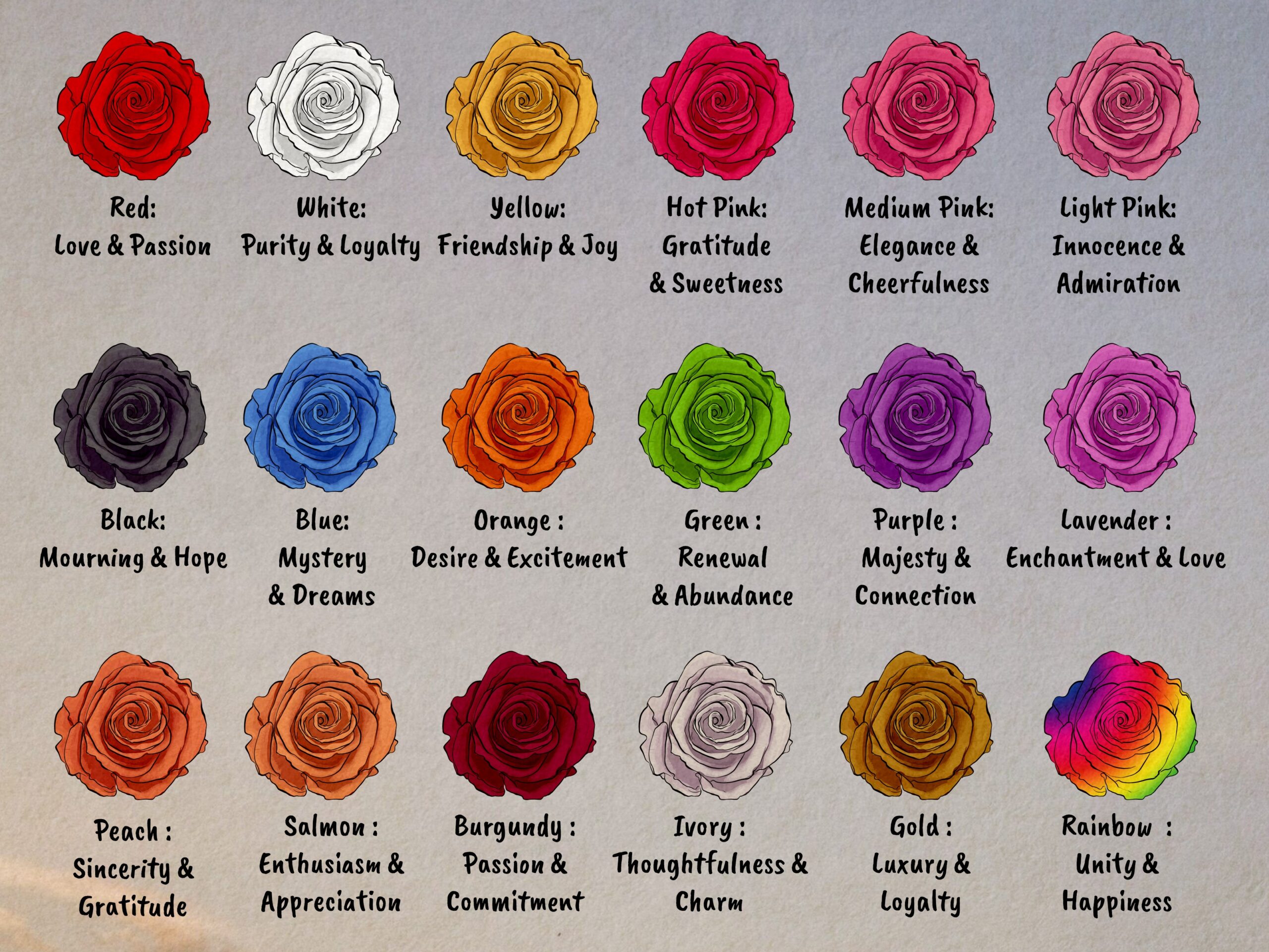 meaning of roses by color and number