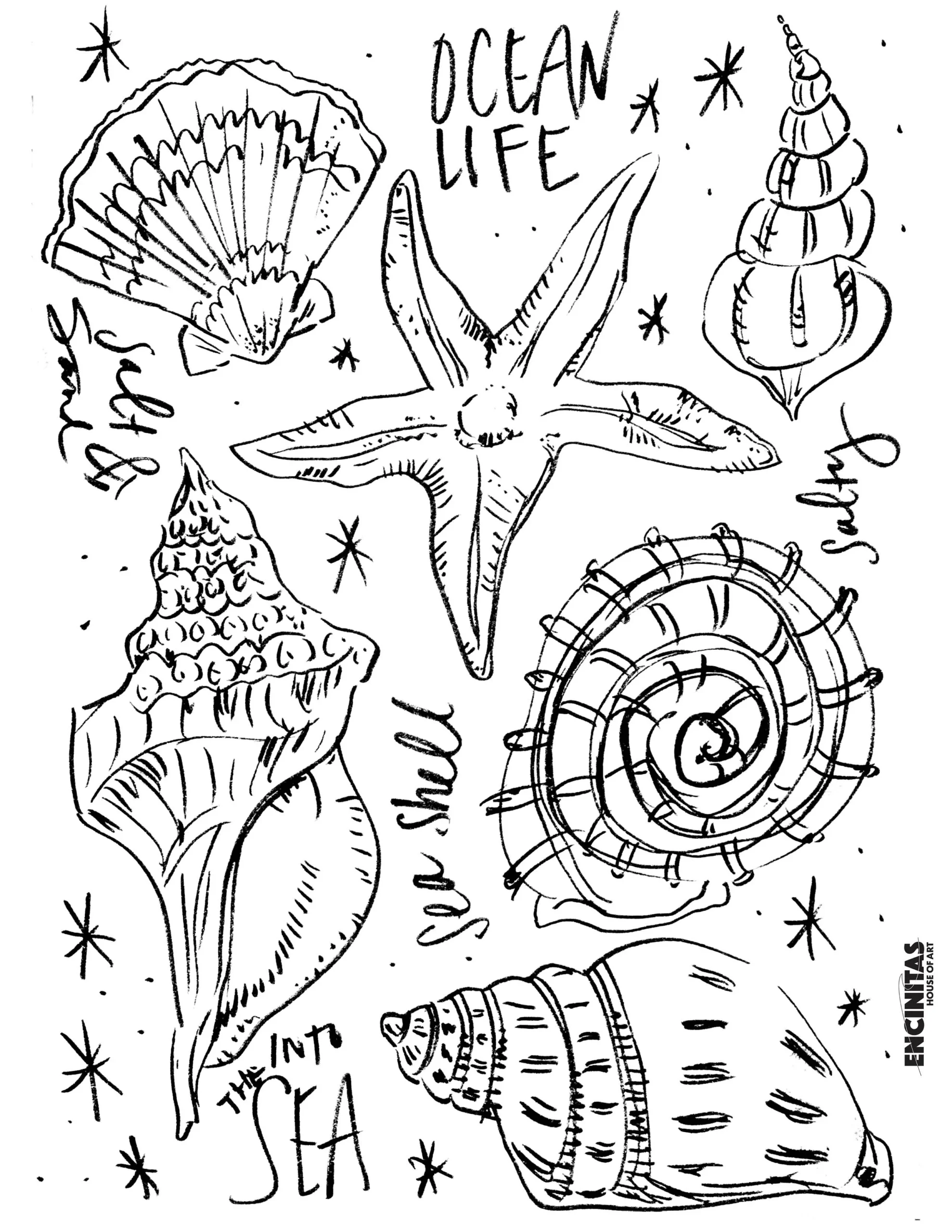 Sea Shell Coloring Page Encinitas House Of Art