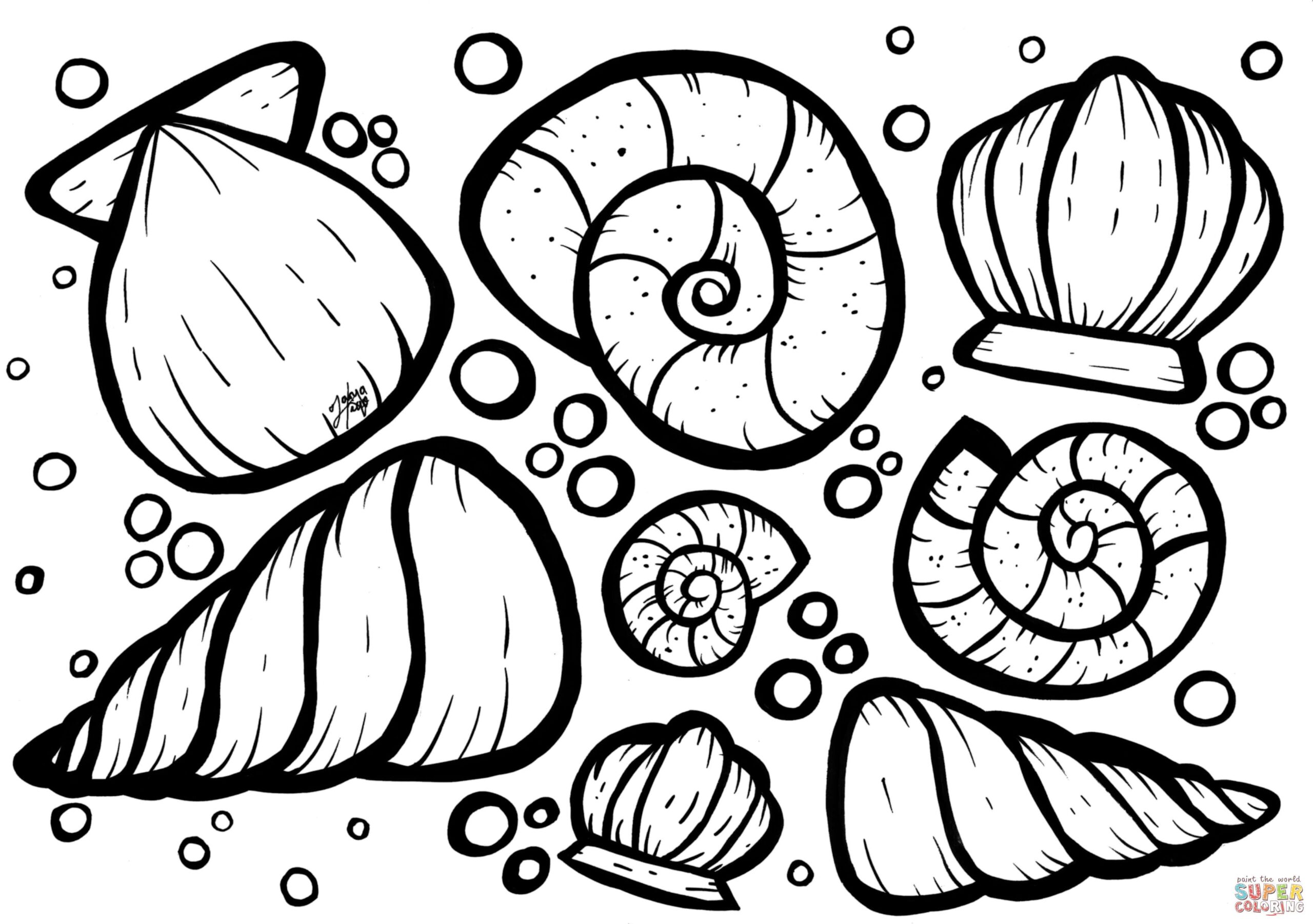 sea shells coloring pages