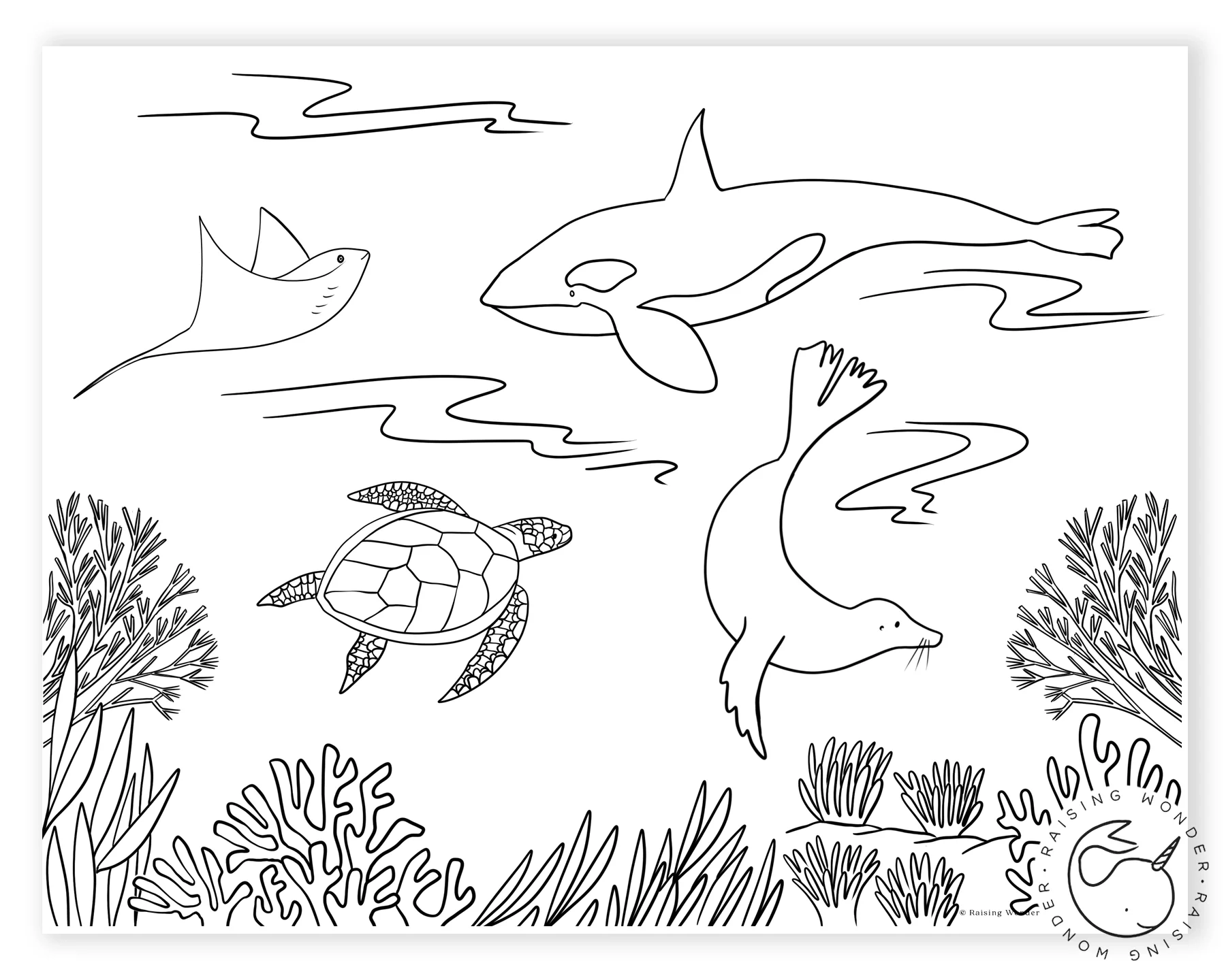 single coloring page sea animals sarah jane studios single coloring page sea animals sarah jane studios