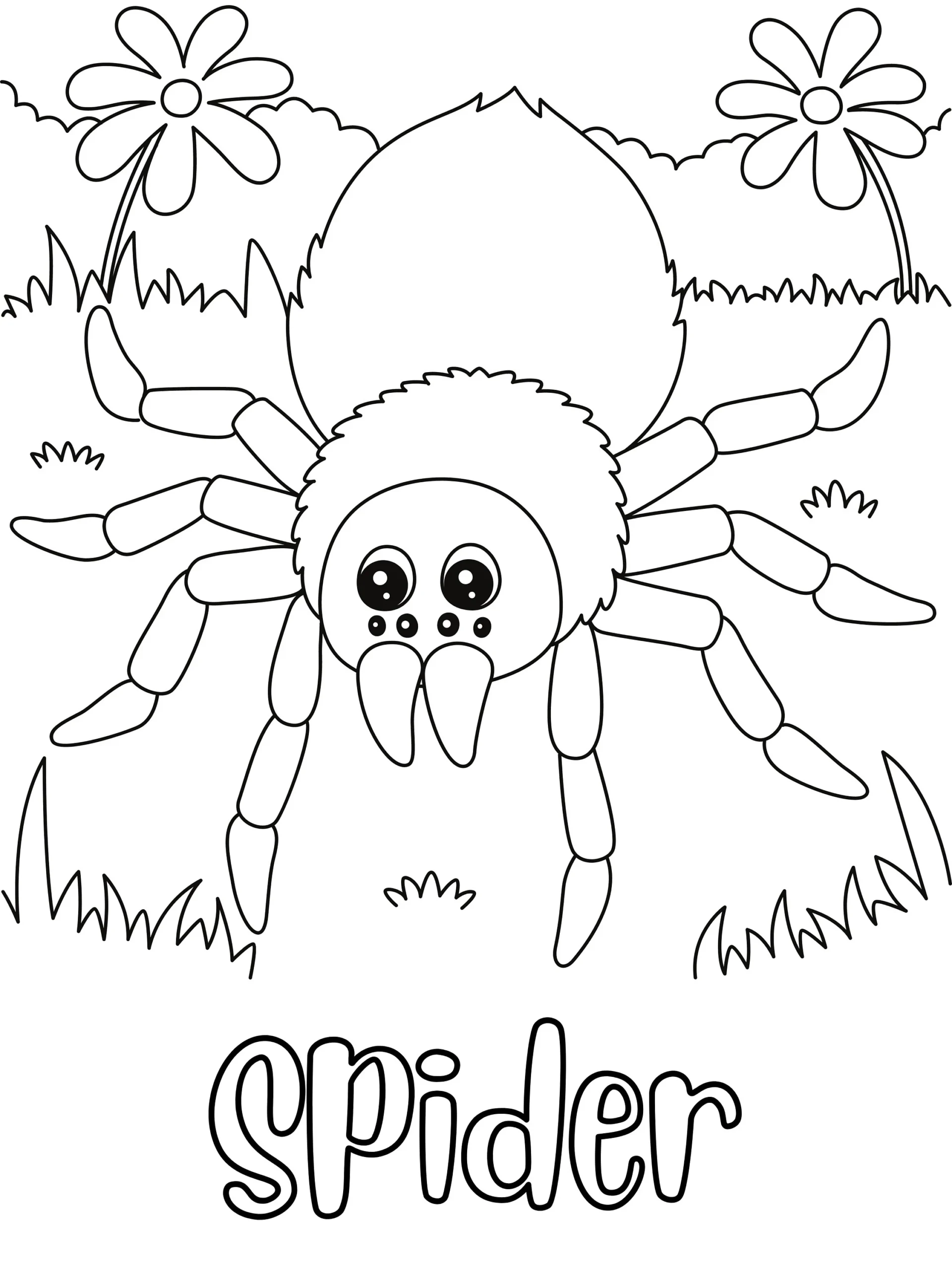 Spider Coloring Page DIGITAL DOWNLOAD Printable Coloring Page Etsy Spider Coloring Page DIGITAL DOWNLOAD Printable Coloring Page Etsy