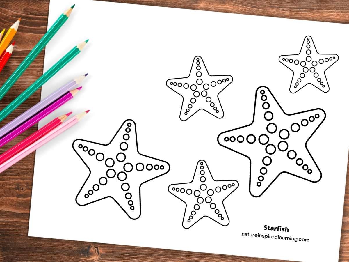 sea star pictures to color