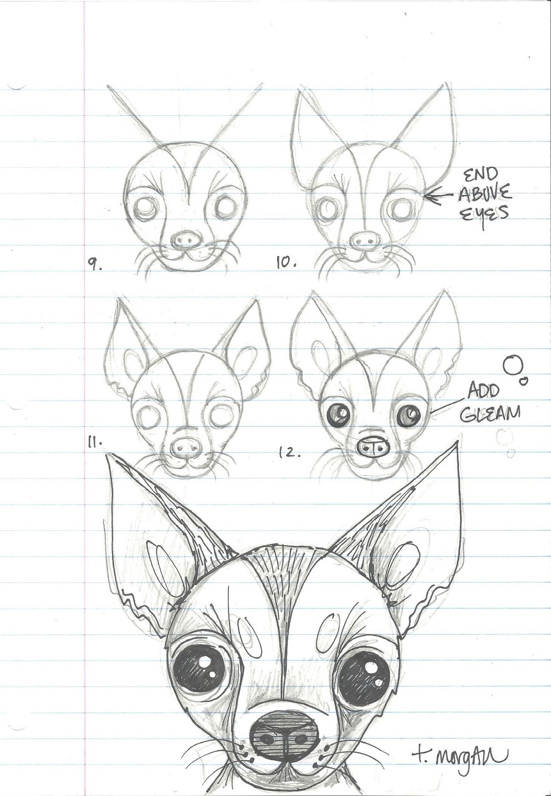 how to draw a chihuahua