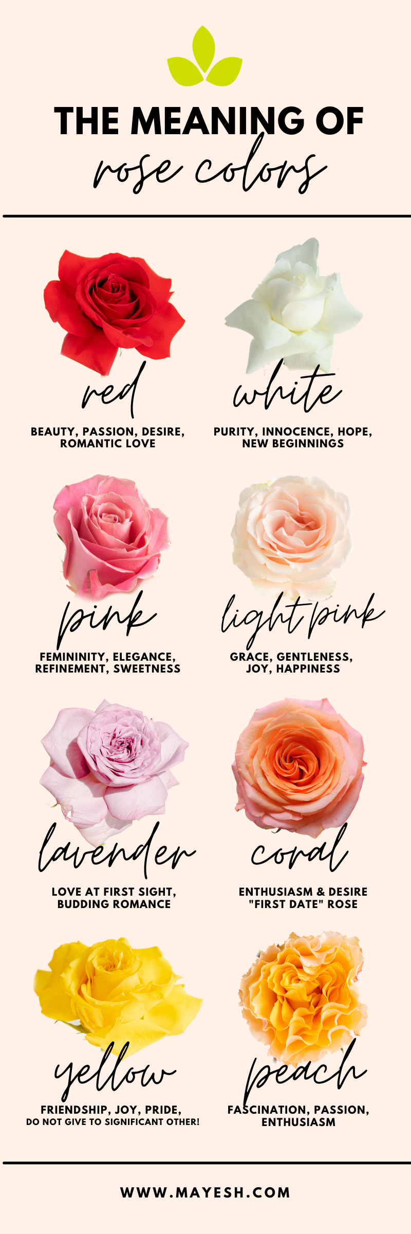 The Meaning Of Rose Colors