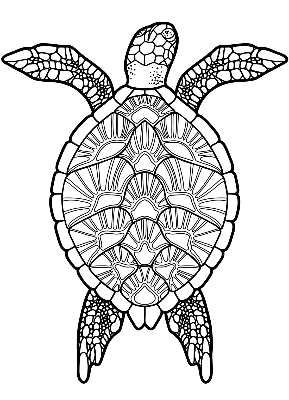 Turtles Relaxing Coloring PDF Book With Tortoises And Sea Turtles Rachel Mintz Coloring Books Turtles Relaxing Coloring PDF Book With Tortoises And Sea Turtles Rachel Mintz Coloring Books