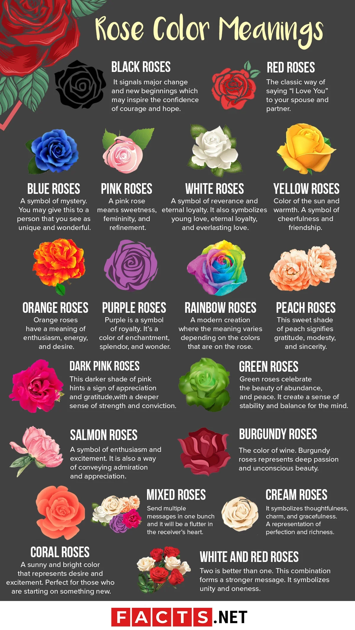 What Do Different Rose Colors Mean 33 Petals Co 