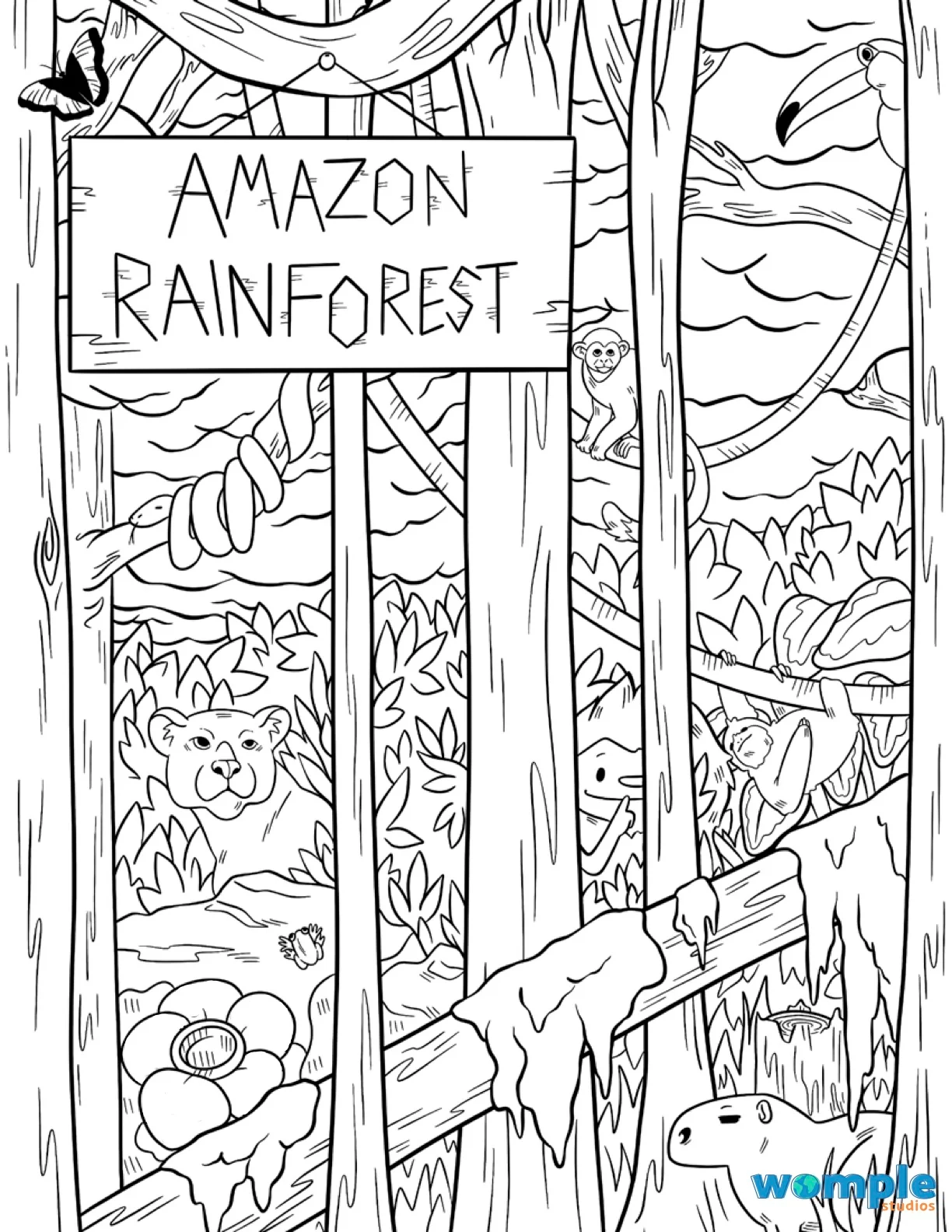 Womple Studios Amazon Rainforest Hidden Picture