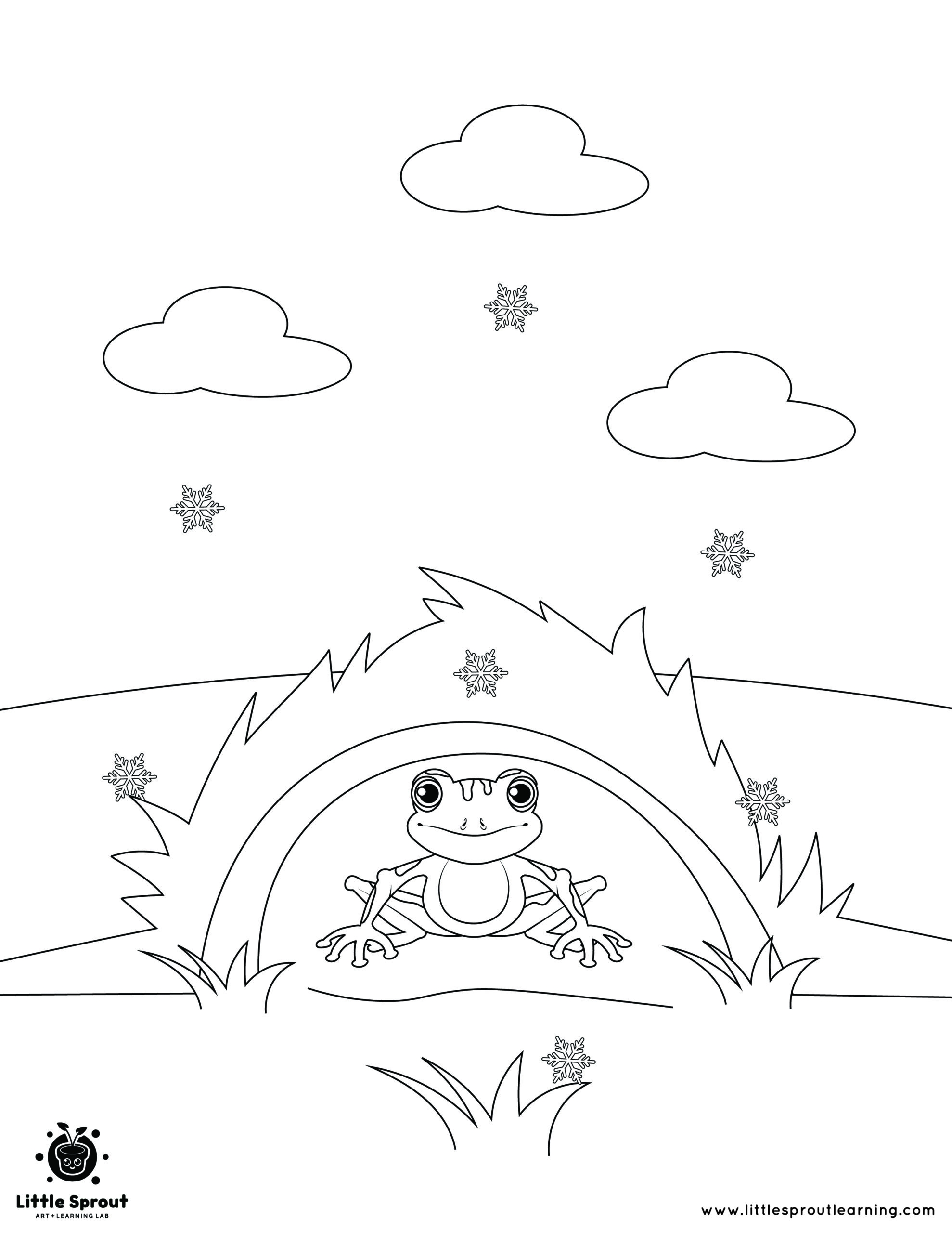 Wood Frog Coloring Page Little Sprout Art Learning Lab
