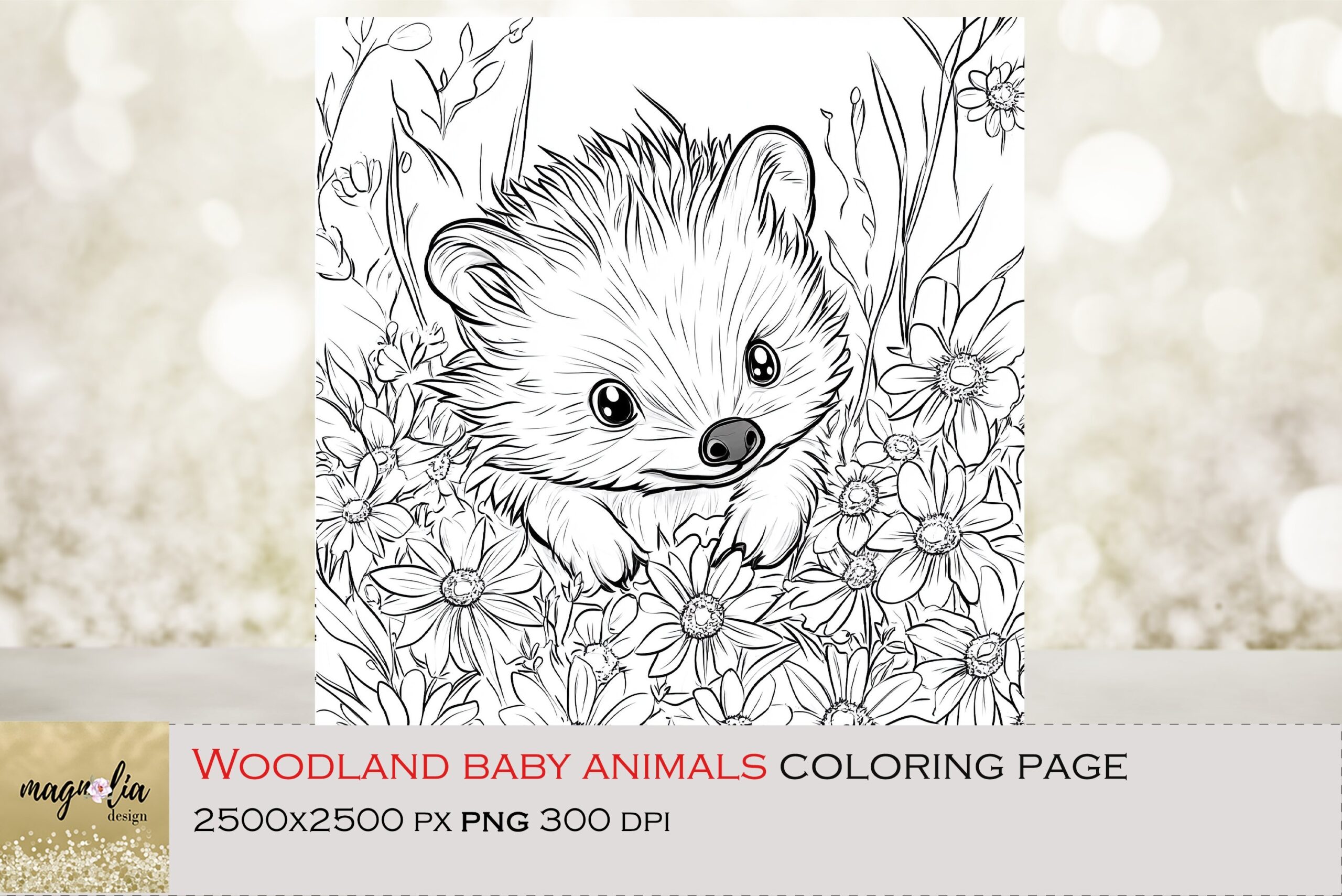 Woodland Baby Animal Hedgehog Coloring Page For Kids Png Woodland Baby Animal Hedgehog Coloring Page For Kids Png